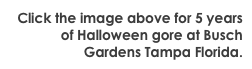 Click the image above for 5 years of Halloween gore at Busch Gardens Tampa Florida.